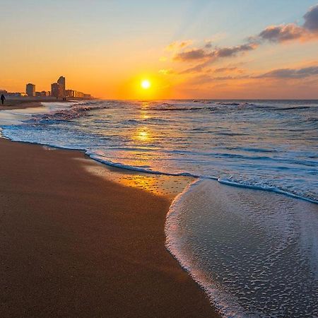 Wanderlust Belgium Oostende Dış mekan fotoğraf